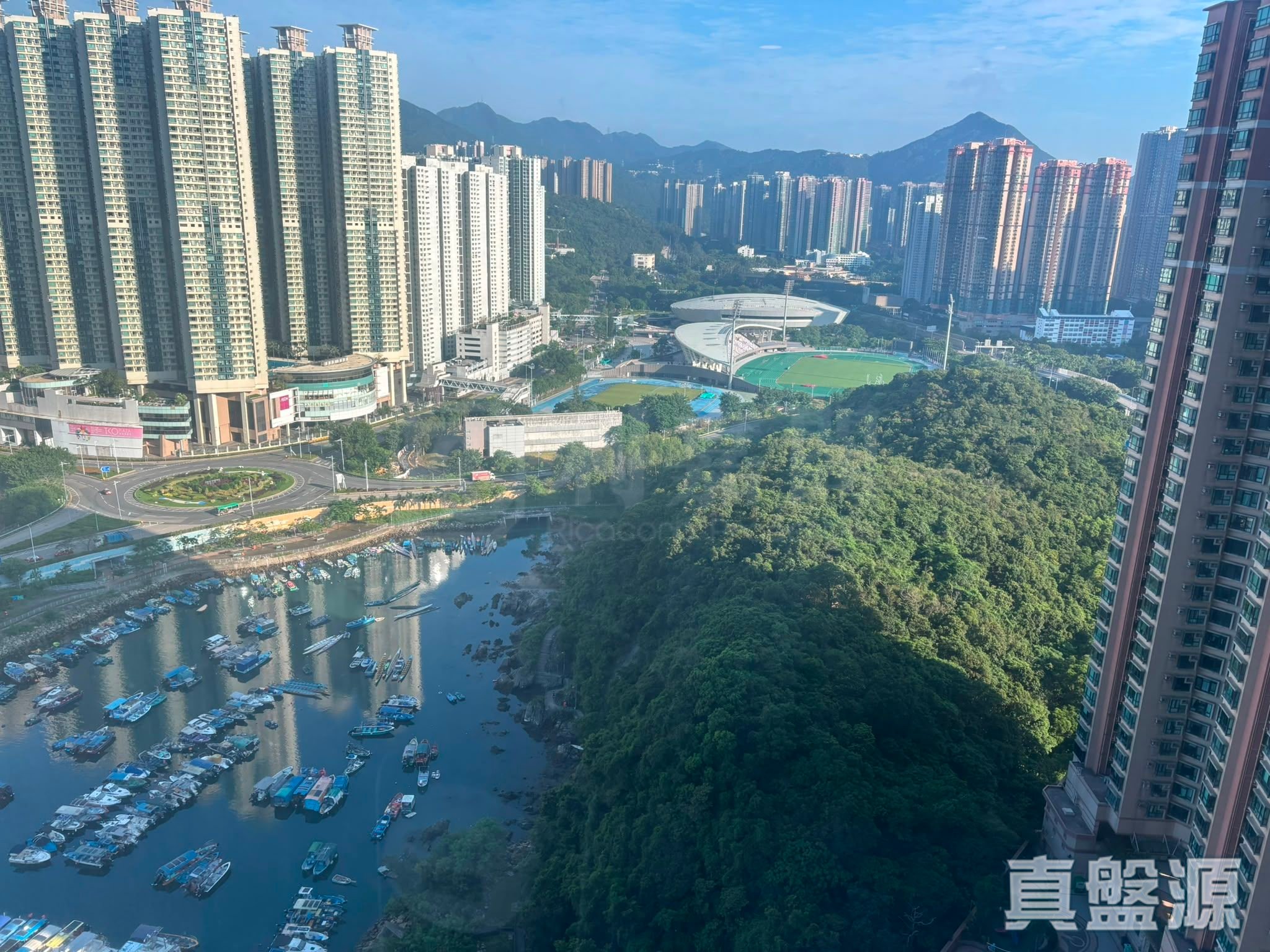 清水灣半島 2期 6座 高層 D室 將軍澳