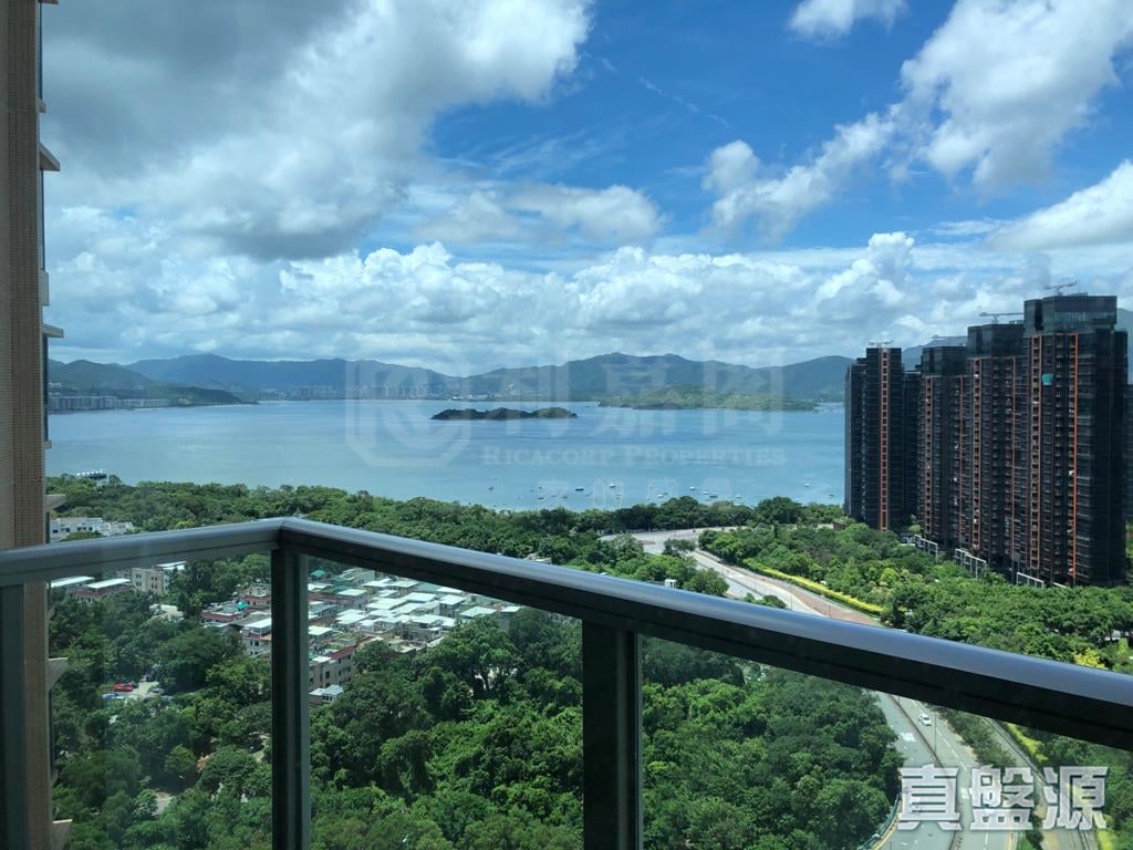 LAKE SILVER TOWER 1 Medium Floor Zone Flat C Ma On Shan