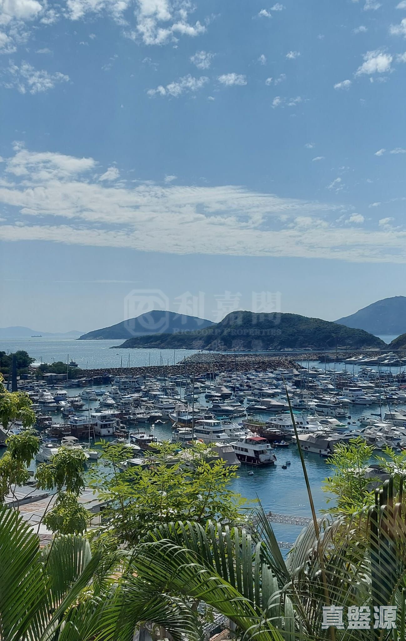 雅濤閣 2座 低層 F室 黃竹坑/深灣