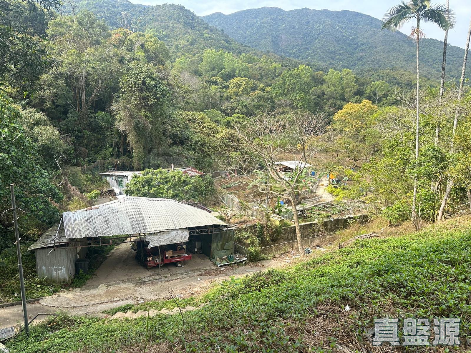 騰龍小築 B座 低層 大埔