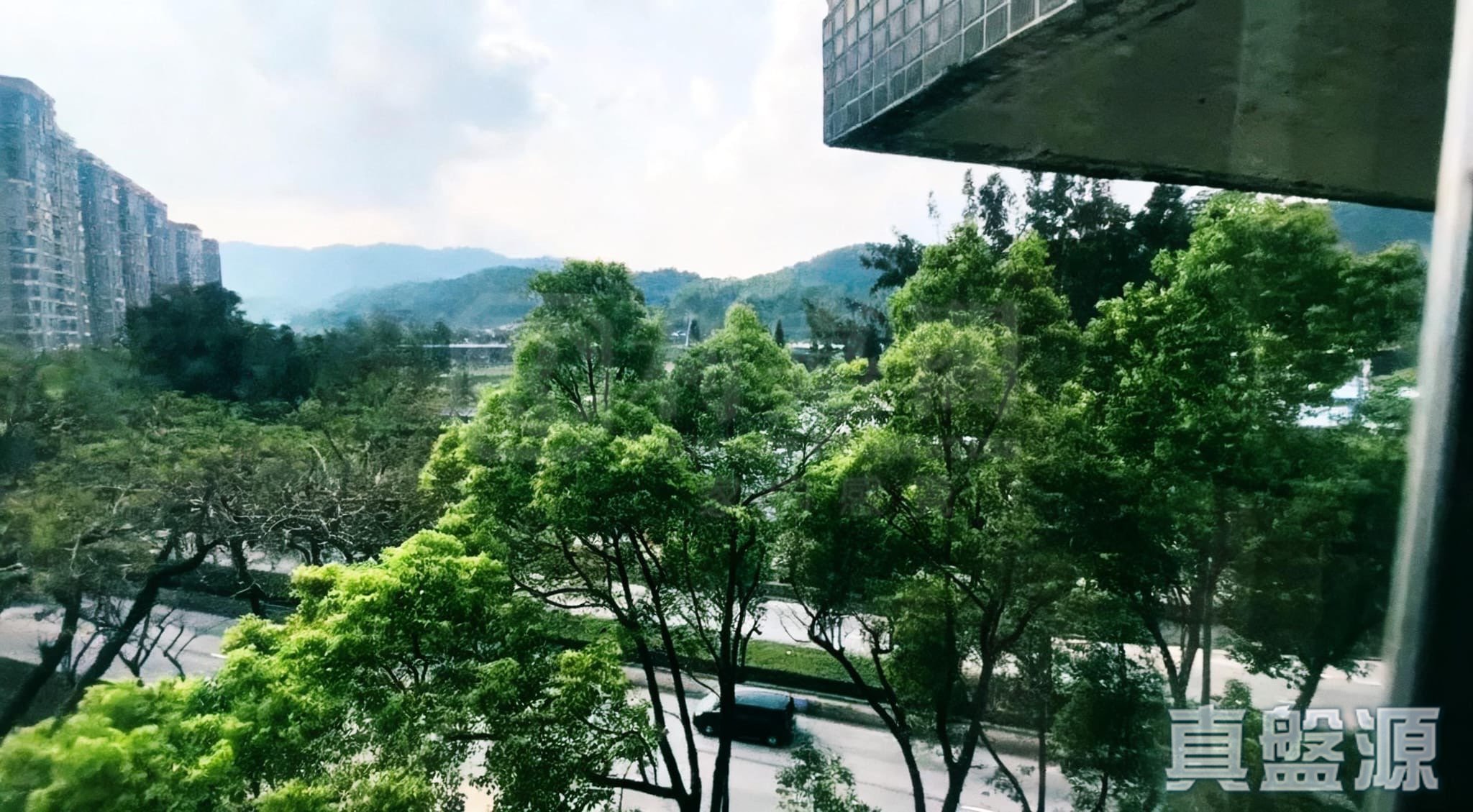 美豐花園 A座 低層 8室 大埔