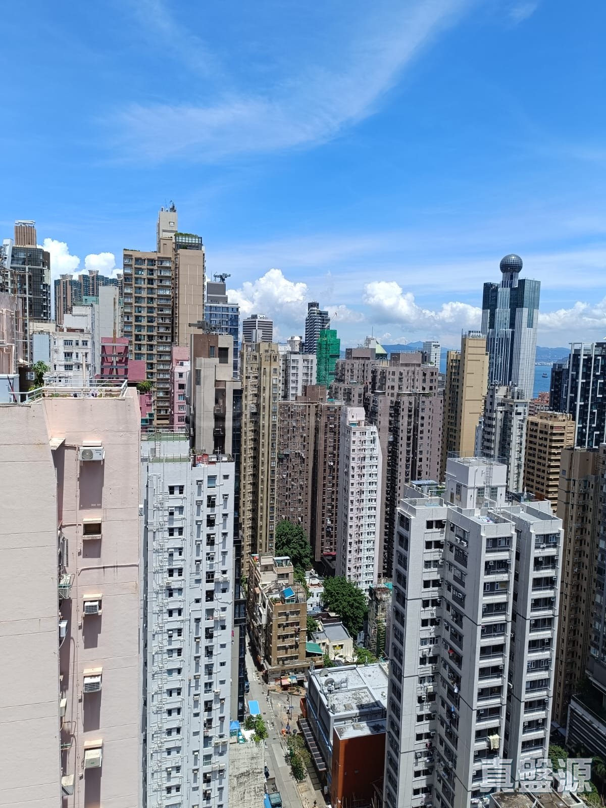 高雅閣 極高層 F室 中上環/西區