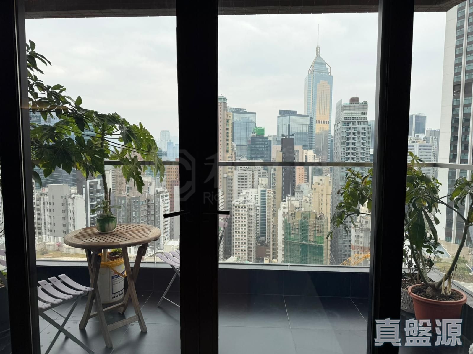 金櫻閣 極高層 中半山