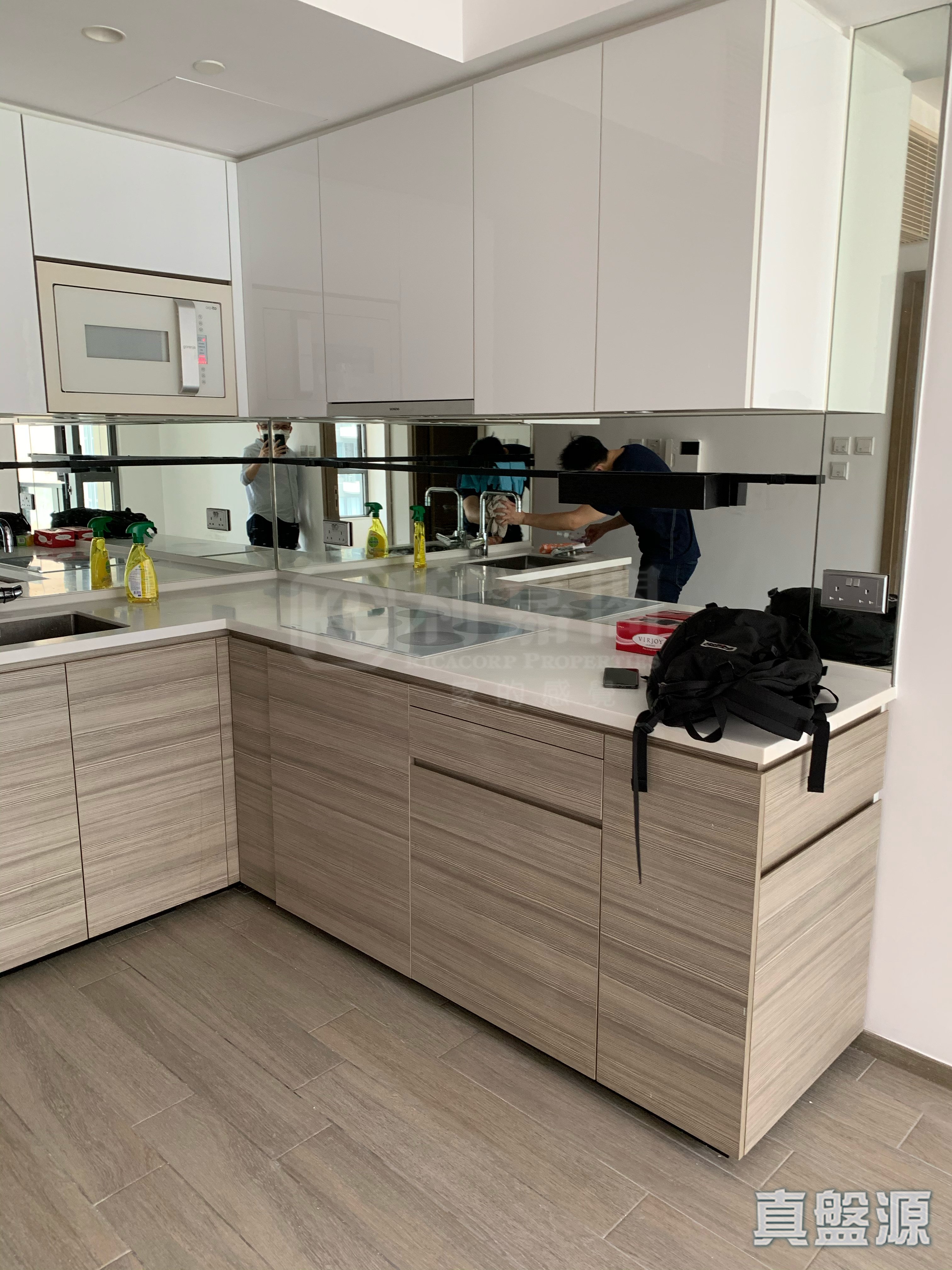 THE WINGS IIIB - Tower 1b Low Floor Zone Flat E Tseung Kwan O