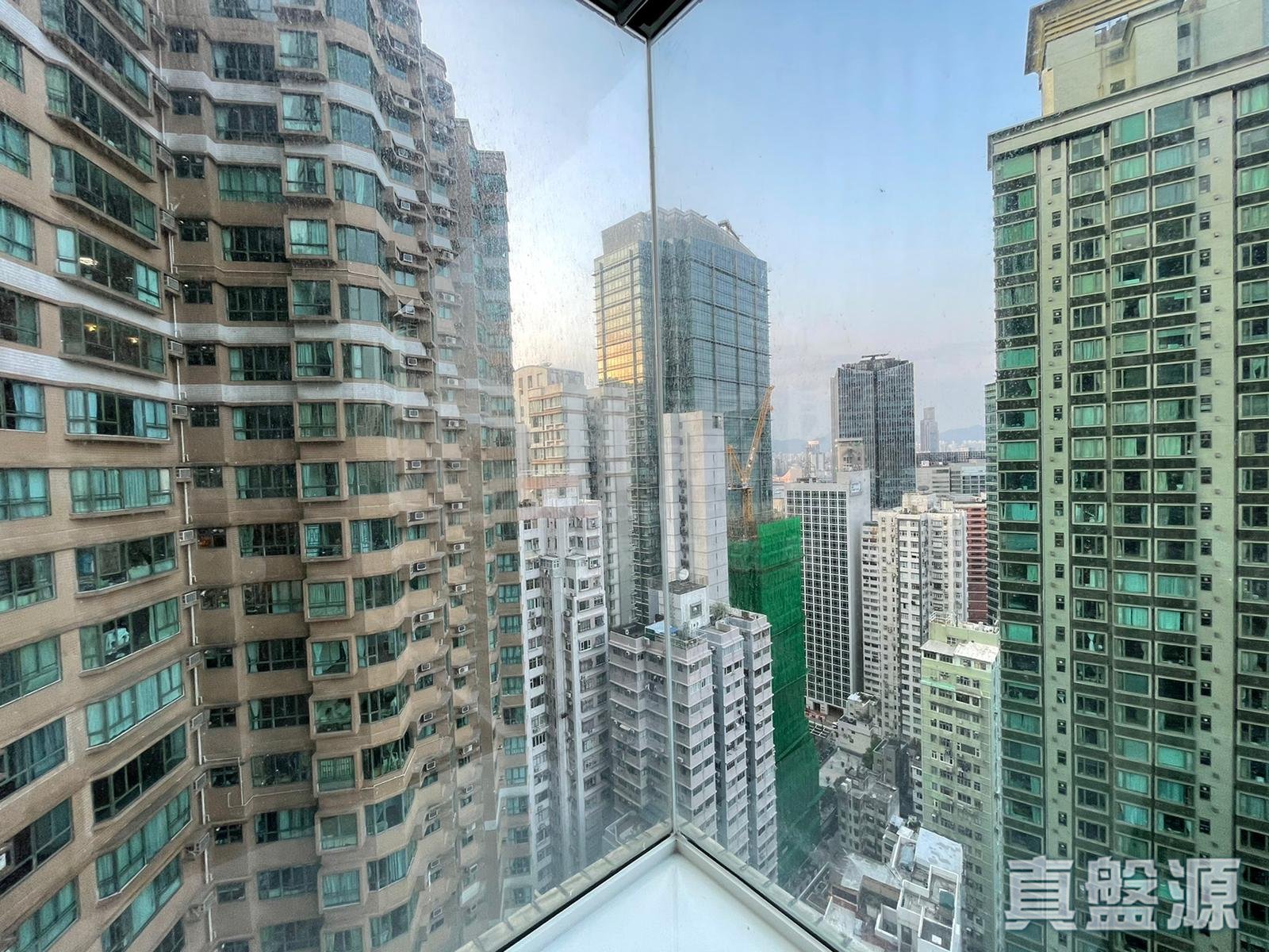 皇朝閣 高層 C室 中半山