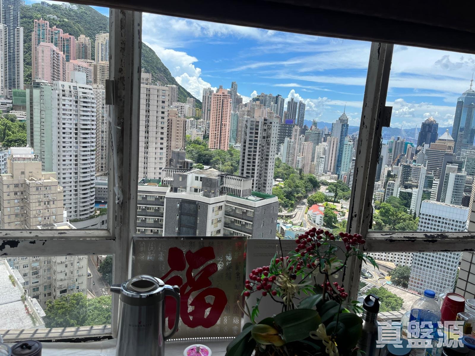 寶樺臺 高層 C室 中半山