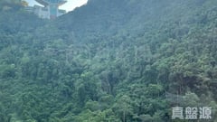 曉峰閣 3座 高層 D室 中半山