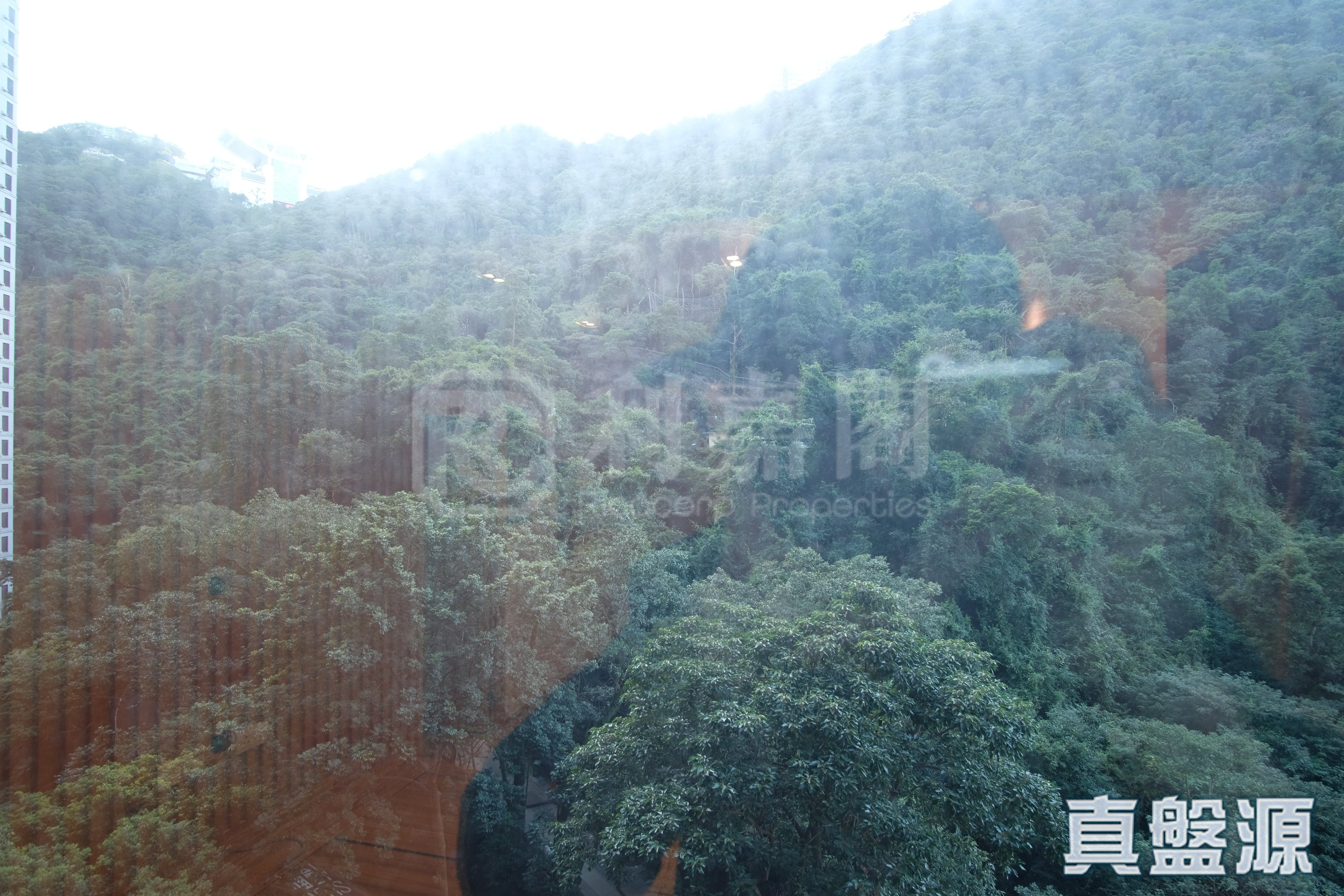 曉峰閣 3座 高層 D室 中半山