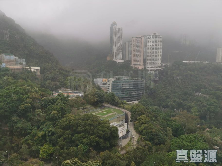 星域軒 1座 極高層 E室 灣仔/銅鑼灣