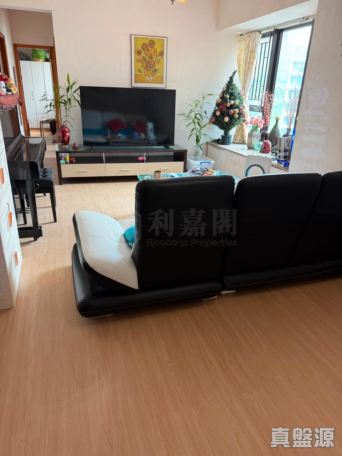 帝堡城 1座 極高層 C室 沙田/火炭/九肚山
