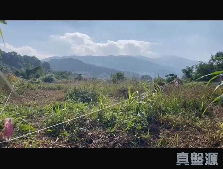 康乐园 第一街 大埔