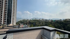 名日.九肚山 沙田/火炭/九肚山