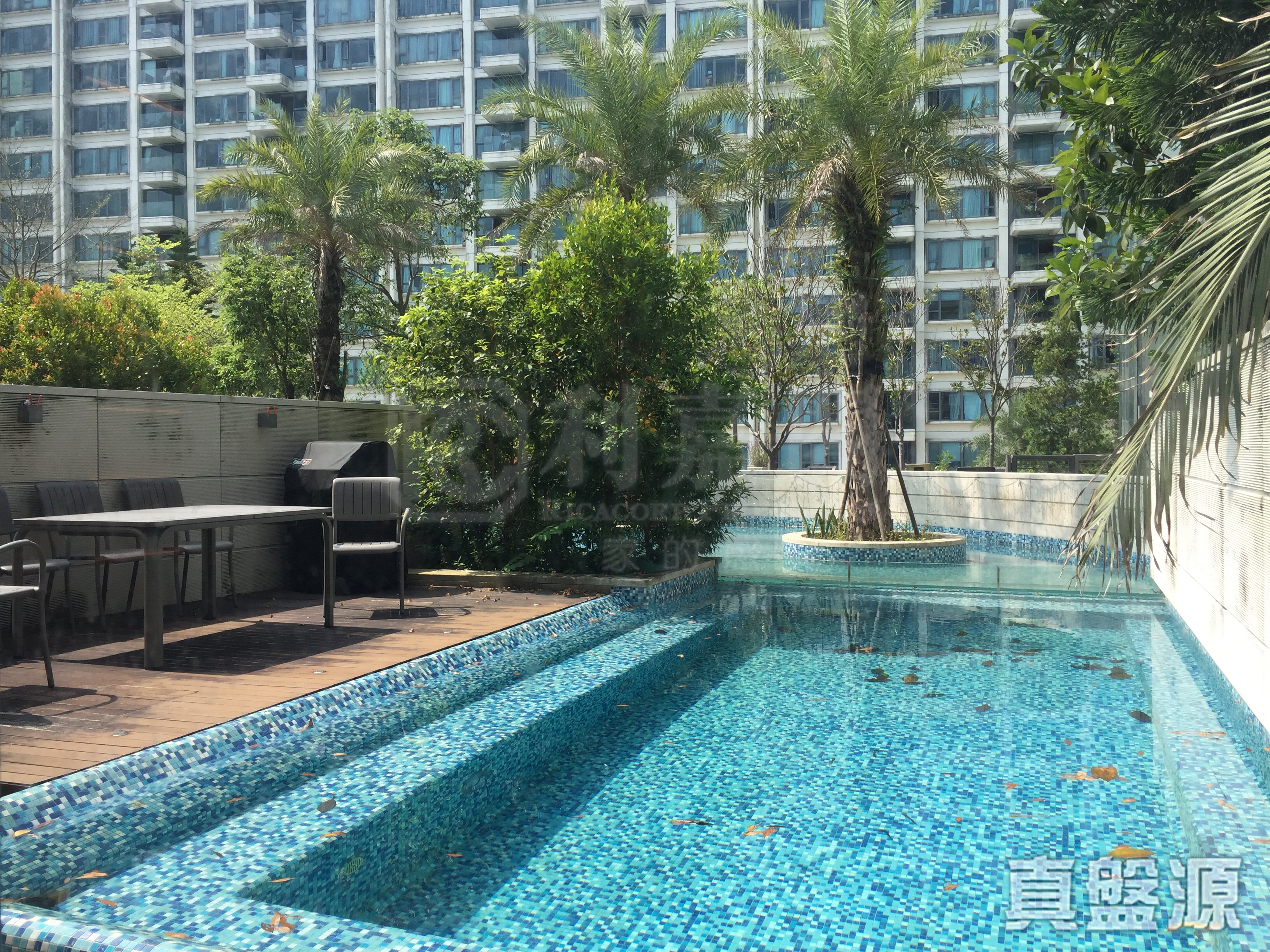 天賦海灣 2期 溋玥 大埔