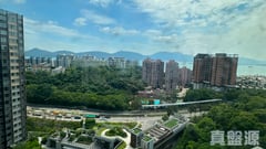飛揚 1期 1座 高層 B室 深井/青山公路