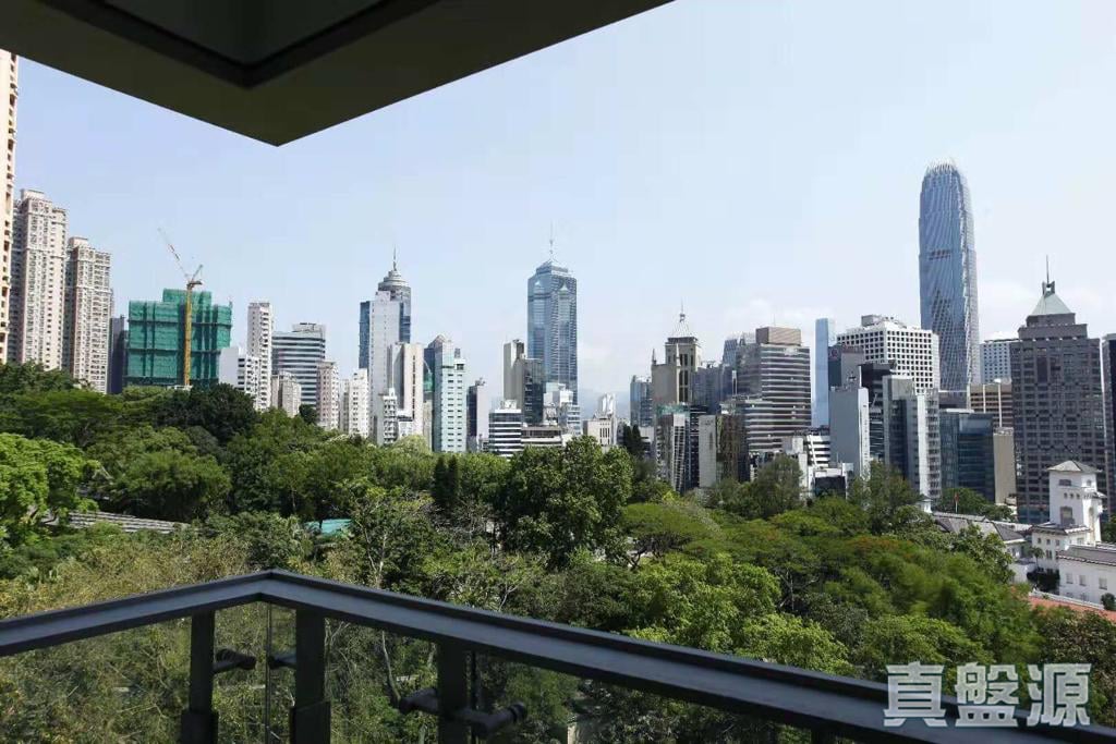 君珀 低層 B室 中半山