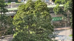 嘉和園 嘉賢大廈(C座) 高層 F室 九龍灣/牛池灣/鑽石山/黃大仙