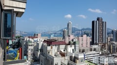 DOWNTOWN 38 高层 H室 土瓜湾/九龙城/新启德/新蒲岗