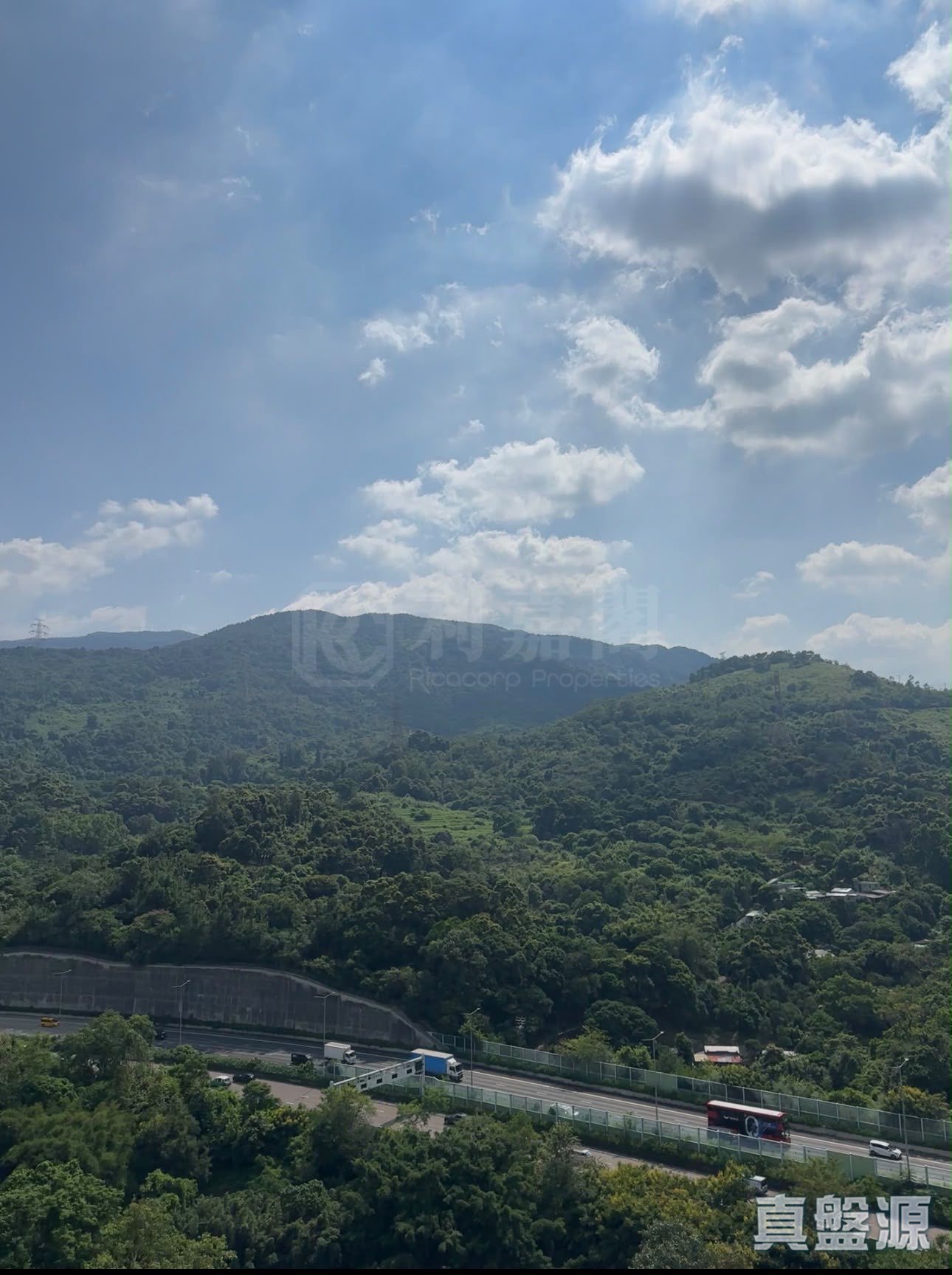 LE MONT PHASE 3 - Tower 3 Very High Floor Zone Flat C5 Tai Po