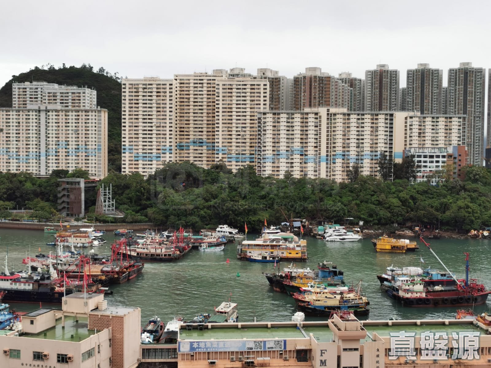 SOUTH COAST Medium Floor Zone Flat D Aberdeen/Tin Wan
