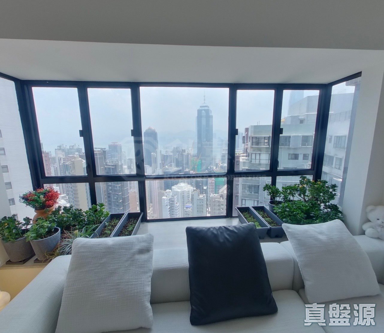 嘉兆臺 2座 高層 C室 西半山