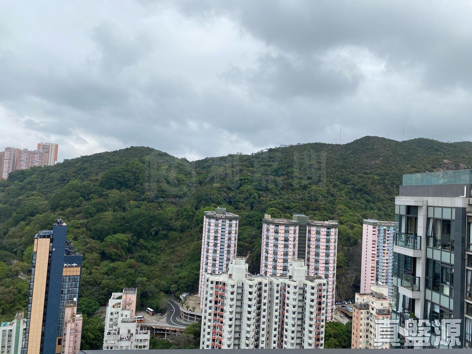 隽琚 极高层 C室 跑马地/东半山