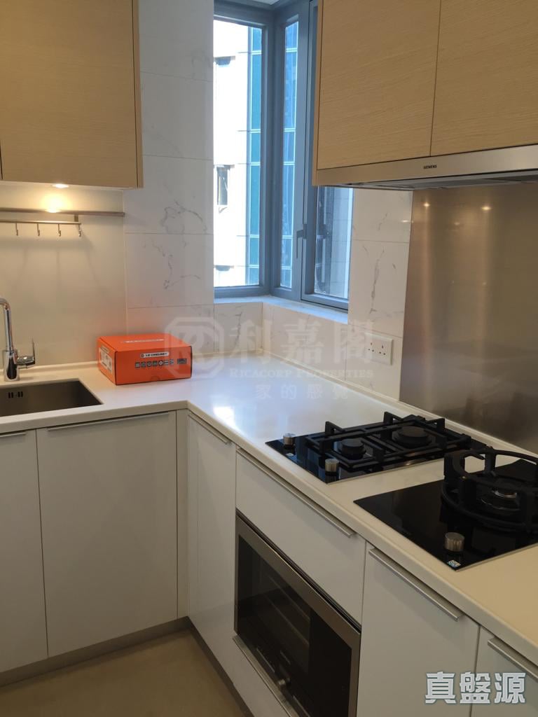 THE PARKSIDE 2A座 低层 A室 将军澳