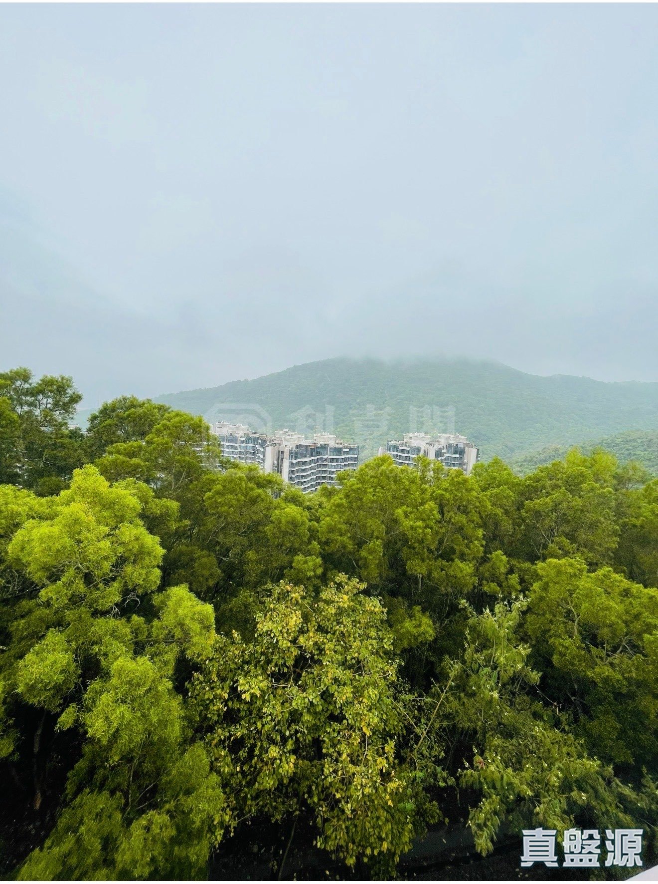 澐瀚 沙田/火炭/九肚山