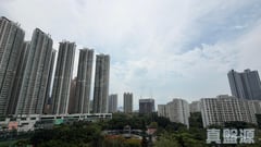 海柏匯 低層 E室 西九龍
