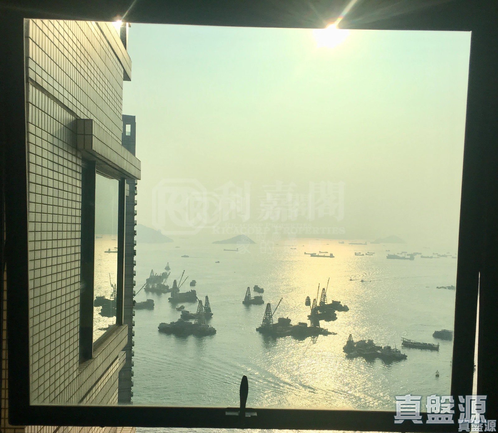 浪澄灣 8座 極高層 B室 奧運站/南昌