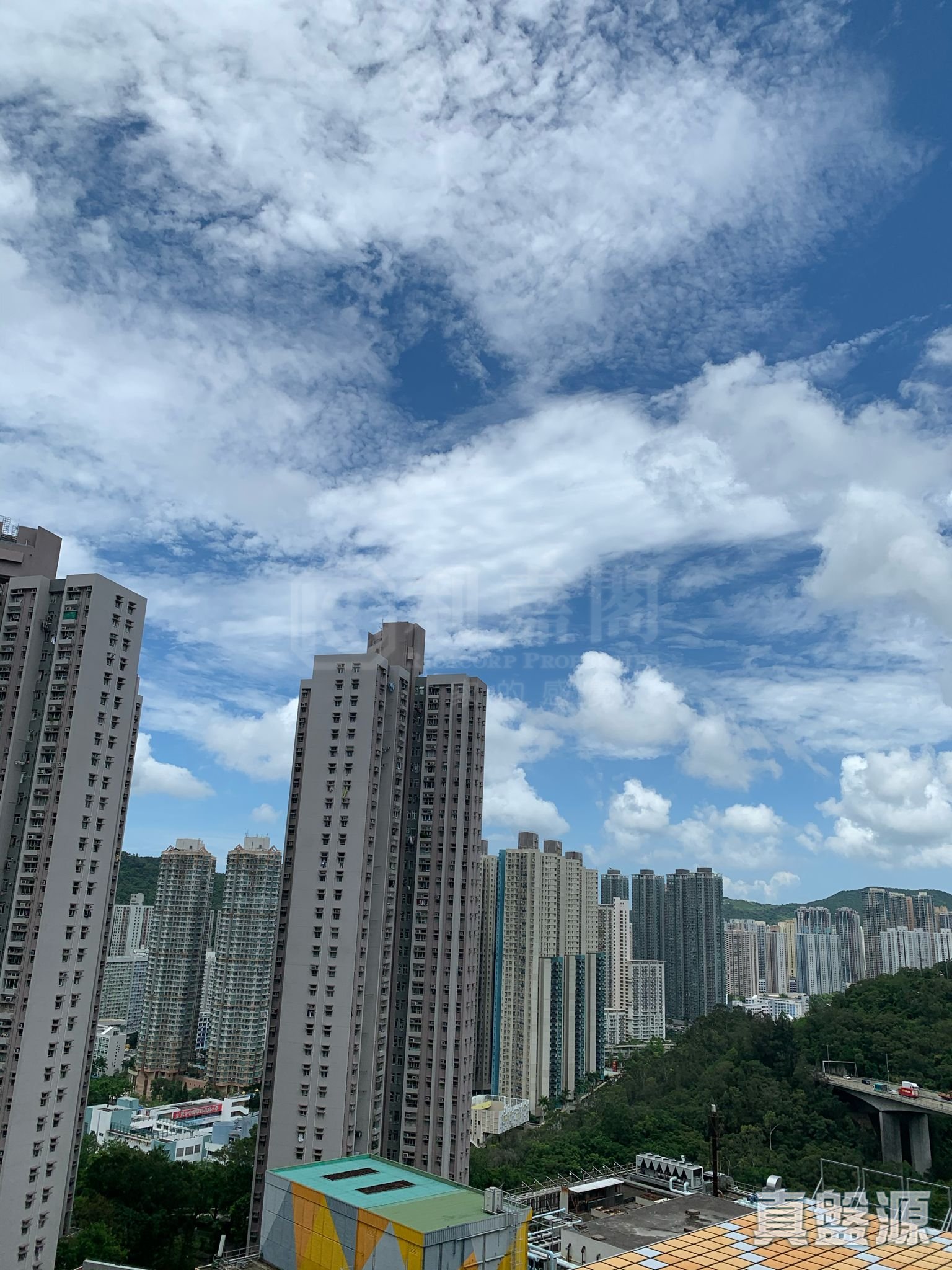 翠林邨 雅林楼 (3座) 高层 6室 将军澳