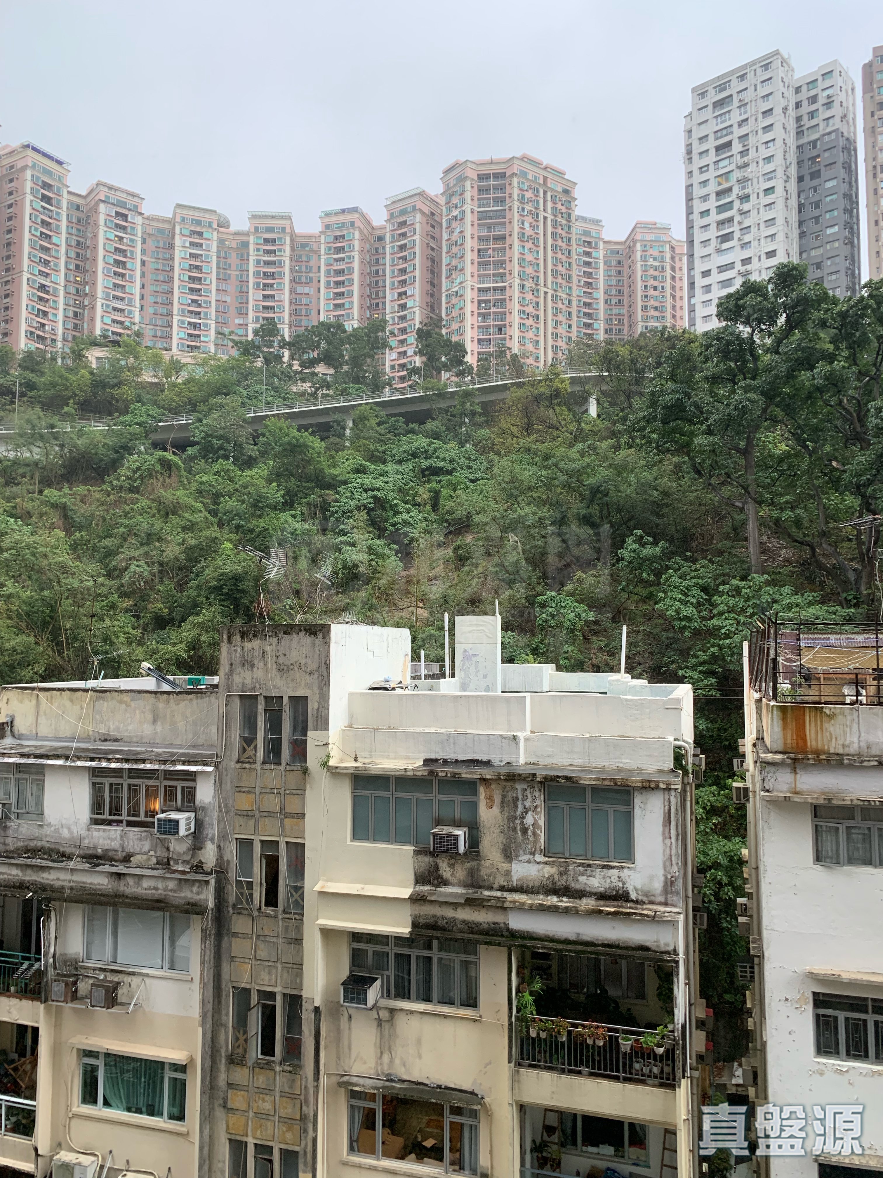 FLEUR PAVILIA TOWER 2 Medium Floor Zone North Point/North Point Mid-Levels