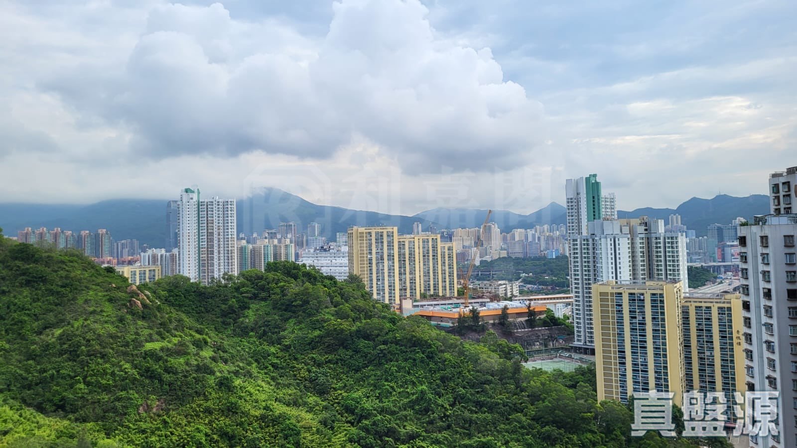 明翹匯 1座 極高層 F室 青衣