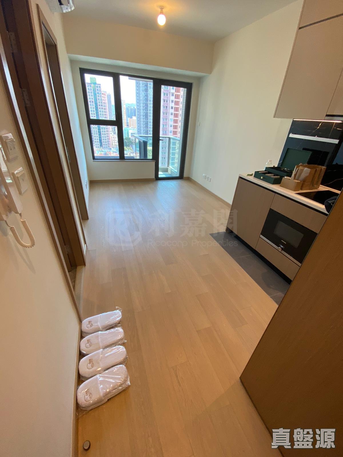 朗城滙 1座 中层 C室 元朗