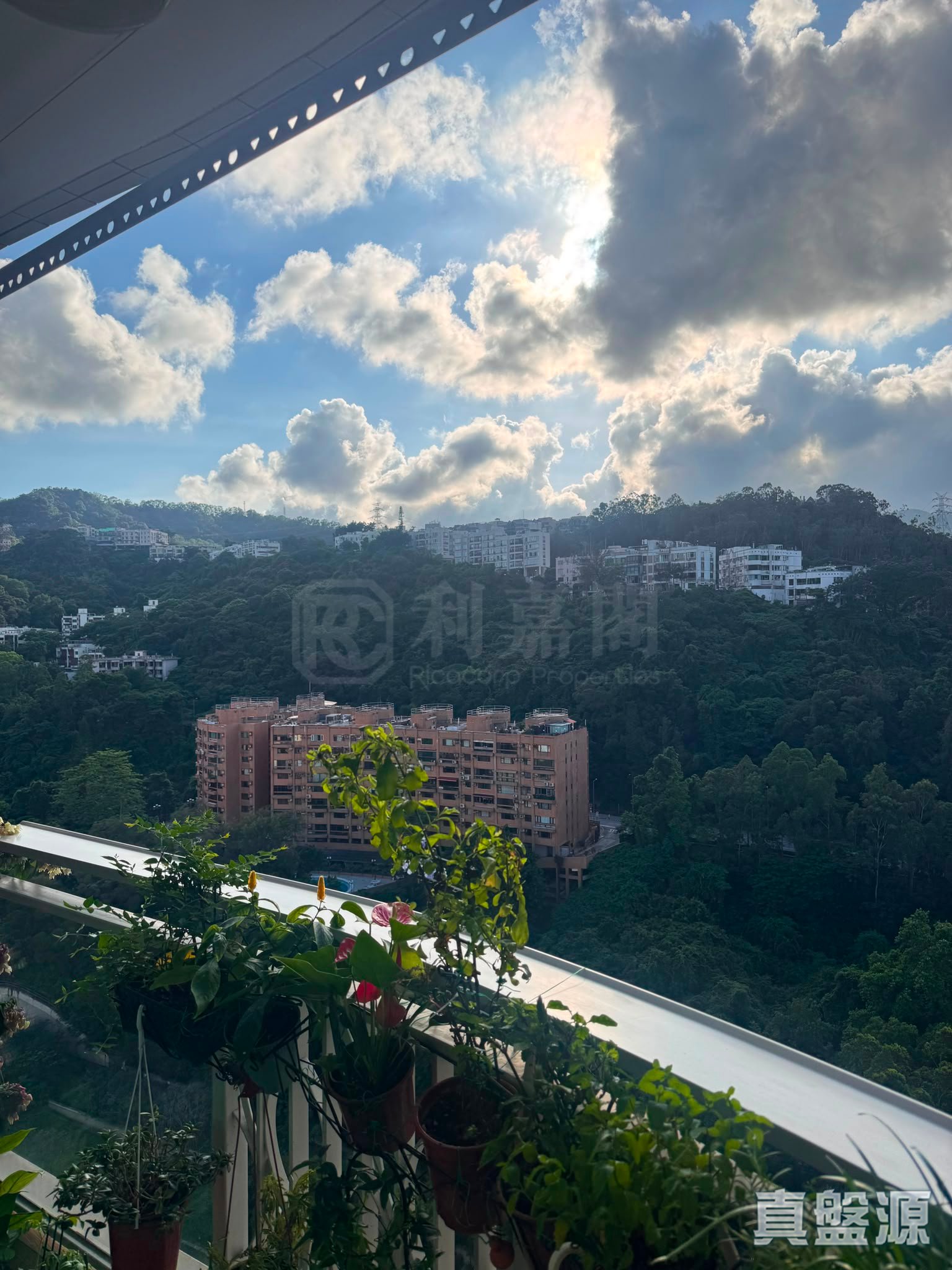 名城 2期 盛荟 2座 高层 SB室 大围