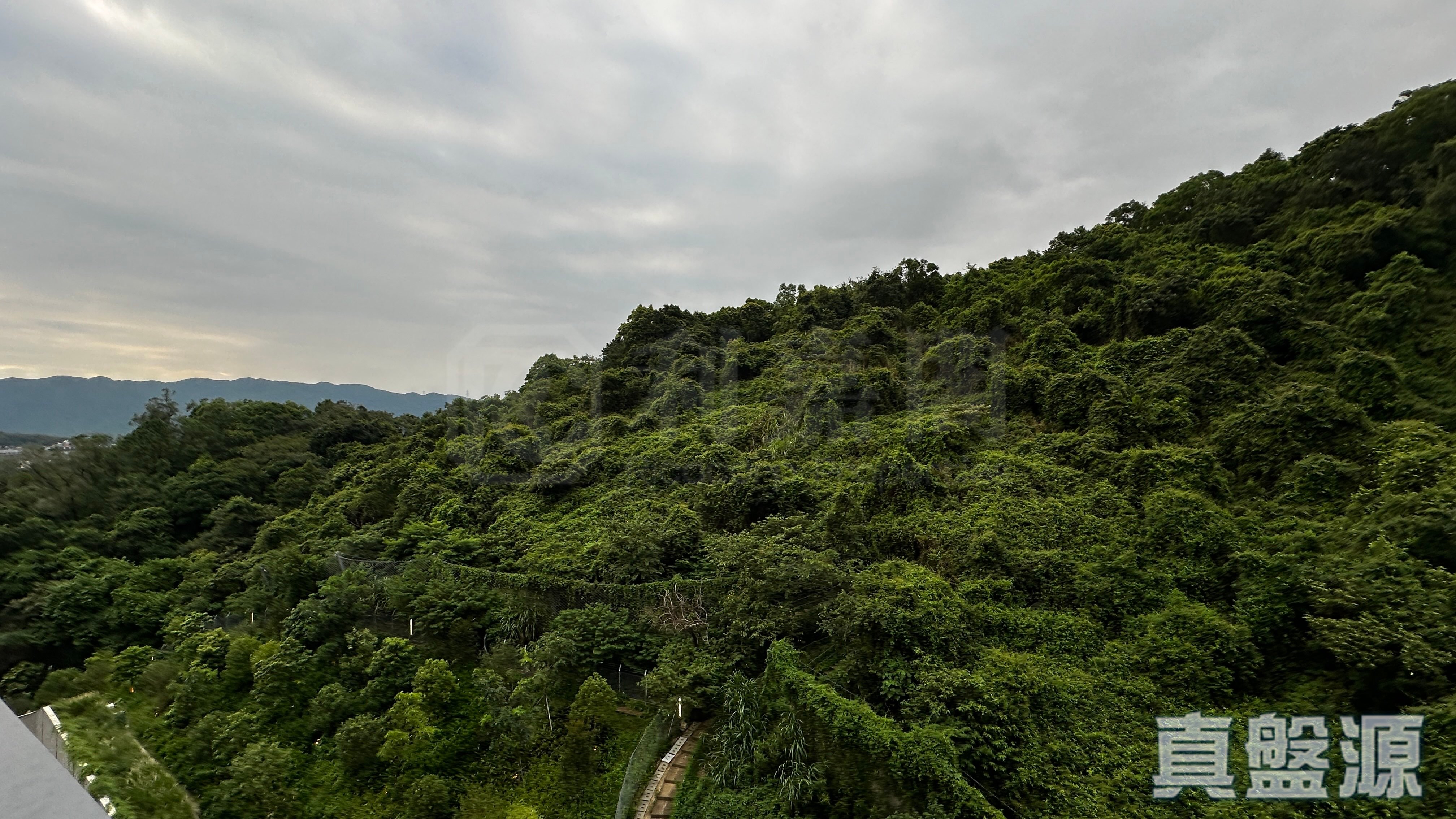 上然 3期 5座 极高层 D9室 大埔