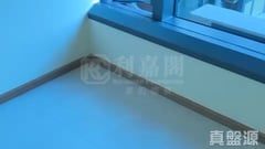 #LYOS 1C座 中層 F室 元朗