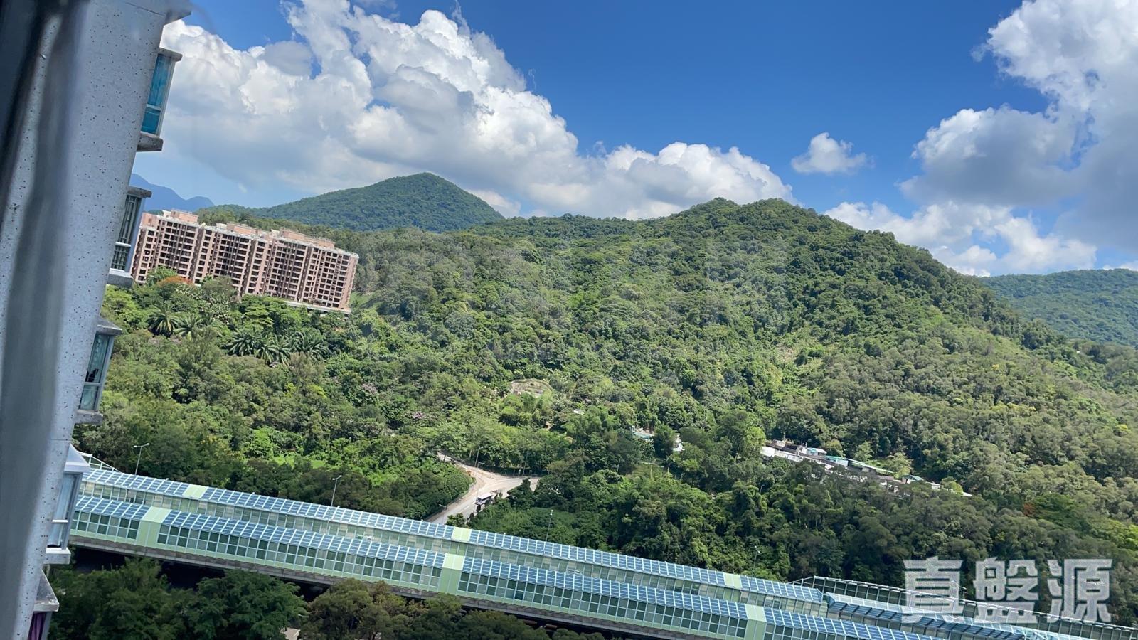 新達廣場 3座 中層 B室 大埔