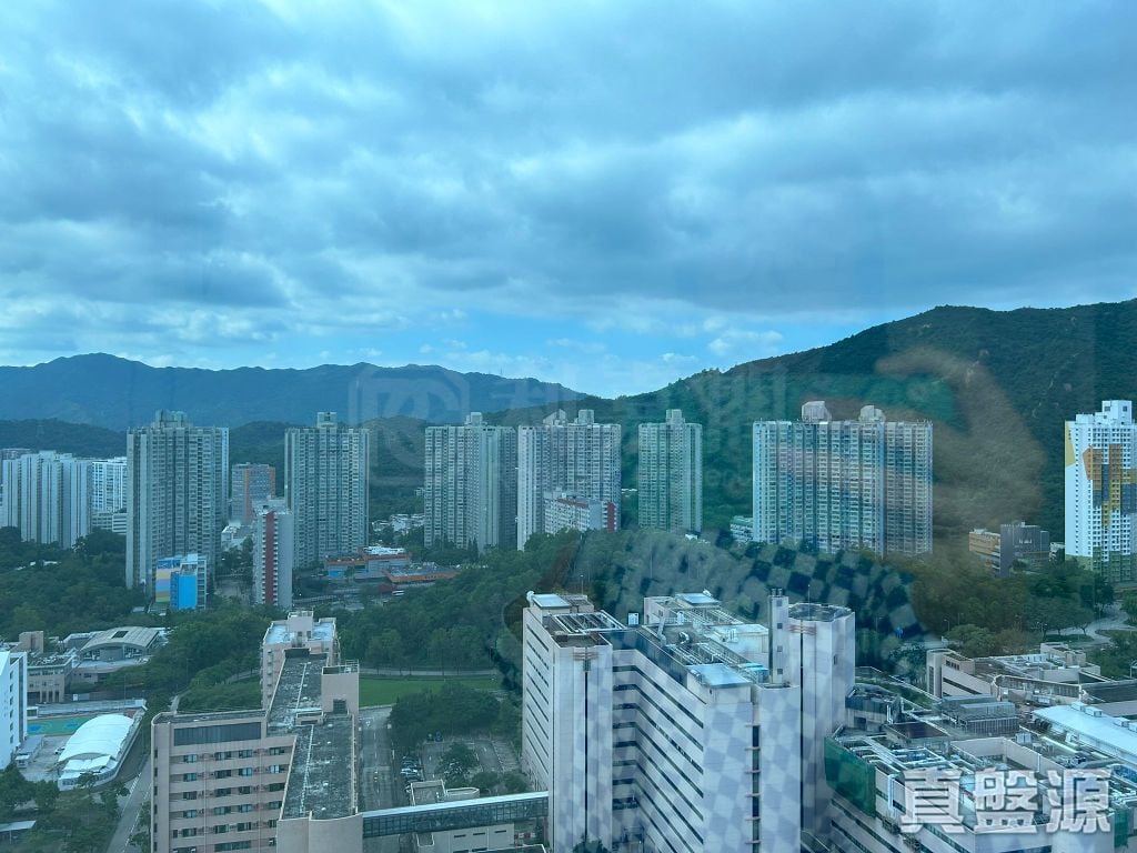 RIVIENA (RIVIERA) LODGE Very High Floor Zone Flat A Tai Po