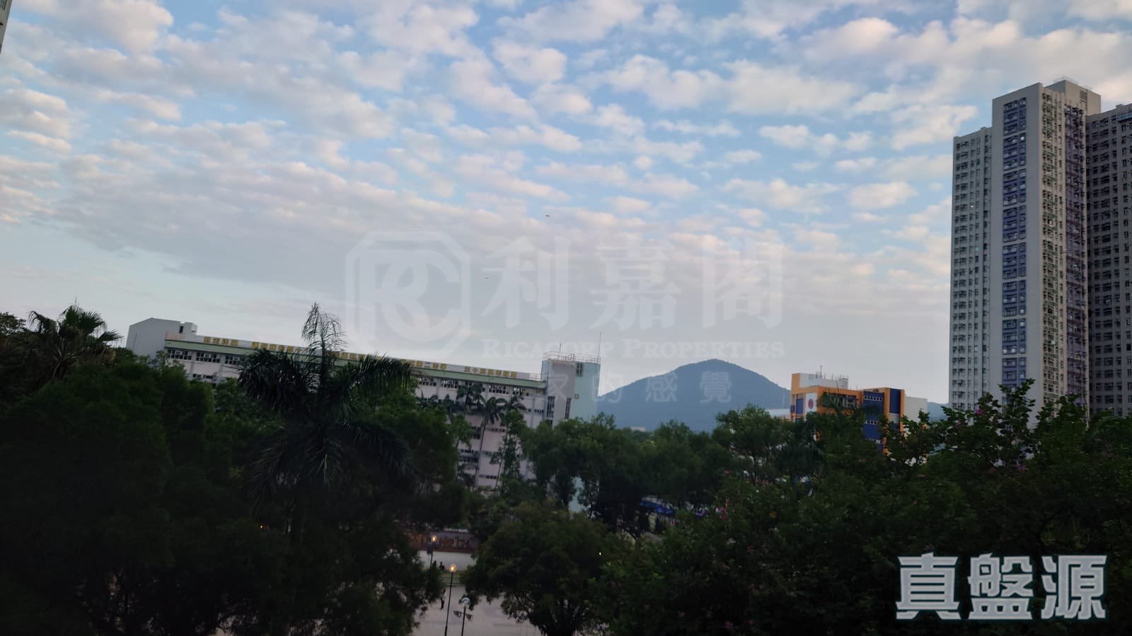 富善邨 善雅楼 (3座) 低层 大埔