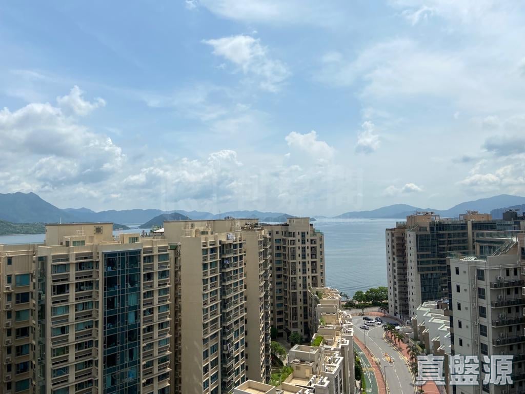 嘉熙 8座 极高层 D室 大埔