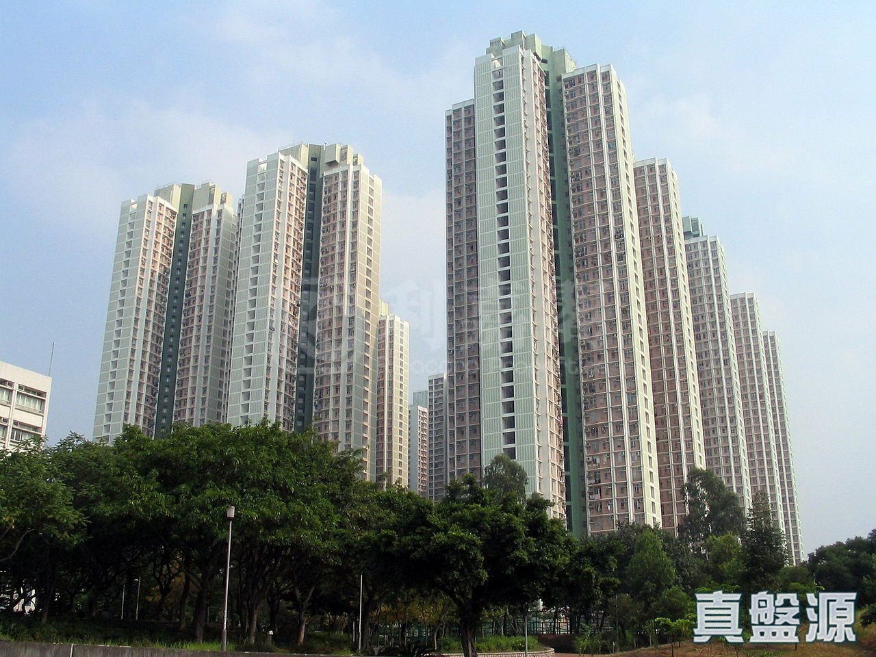 天盛苑 盛彩阁 (A座) 高层 天水围