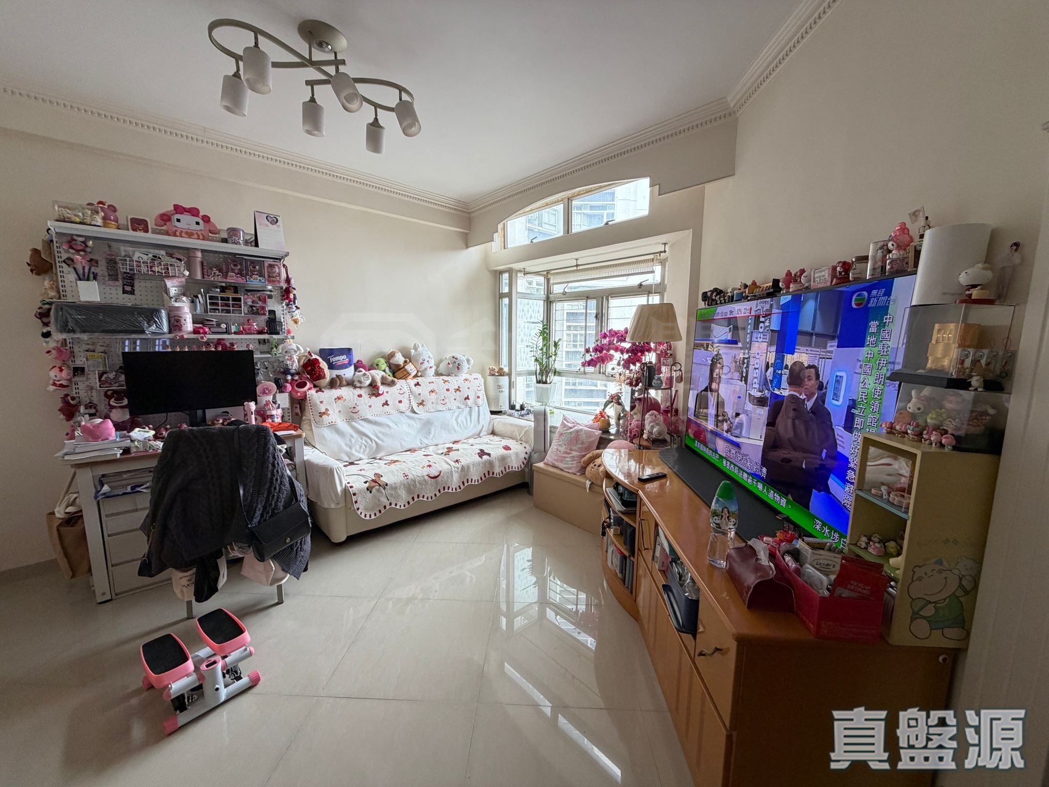 嘉湖山庄 5期 丽湖居 7座 高层 A室 天水围