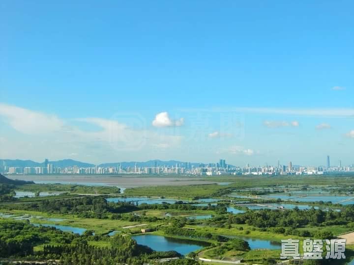 KINGSWOOD VILLAS PHASE 6 MAYWOOD COURT - Block 5 Tin Shui Wai