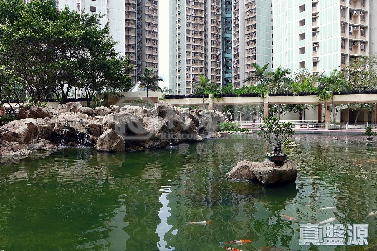 天盛苑 盛昭閣 (B座) 低層 天水圍