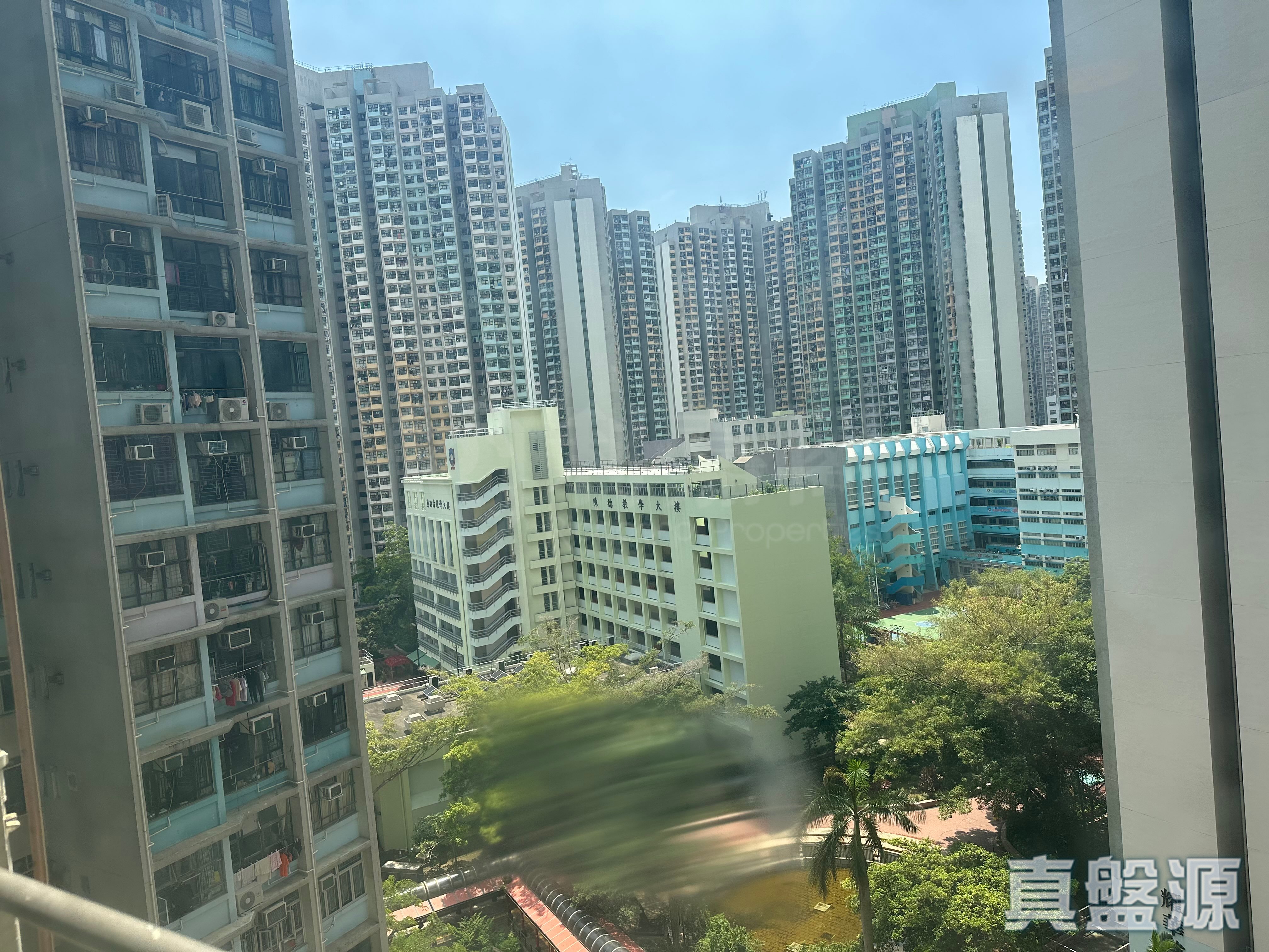 天佑苑 佑泰阁 (C座) 中层 天水围