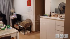 THE SPECTRA TOWER 1 Low Floor Zone Flat A Yuen Long