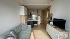 THE HUDSON Very High Floor Zone Flat B Central/Sheung Wan/Western District
