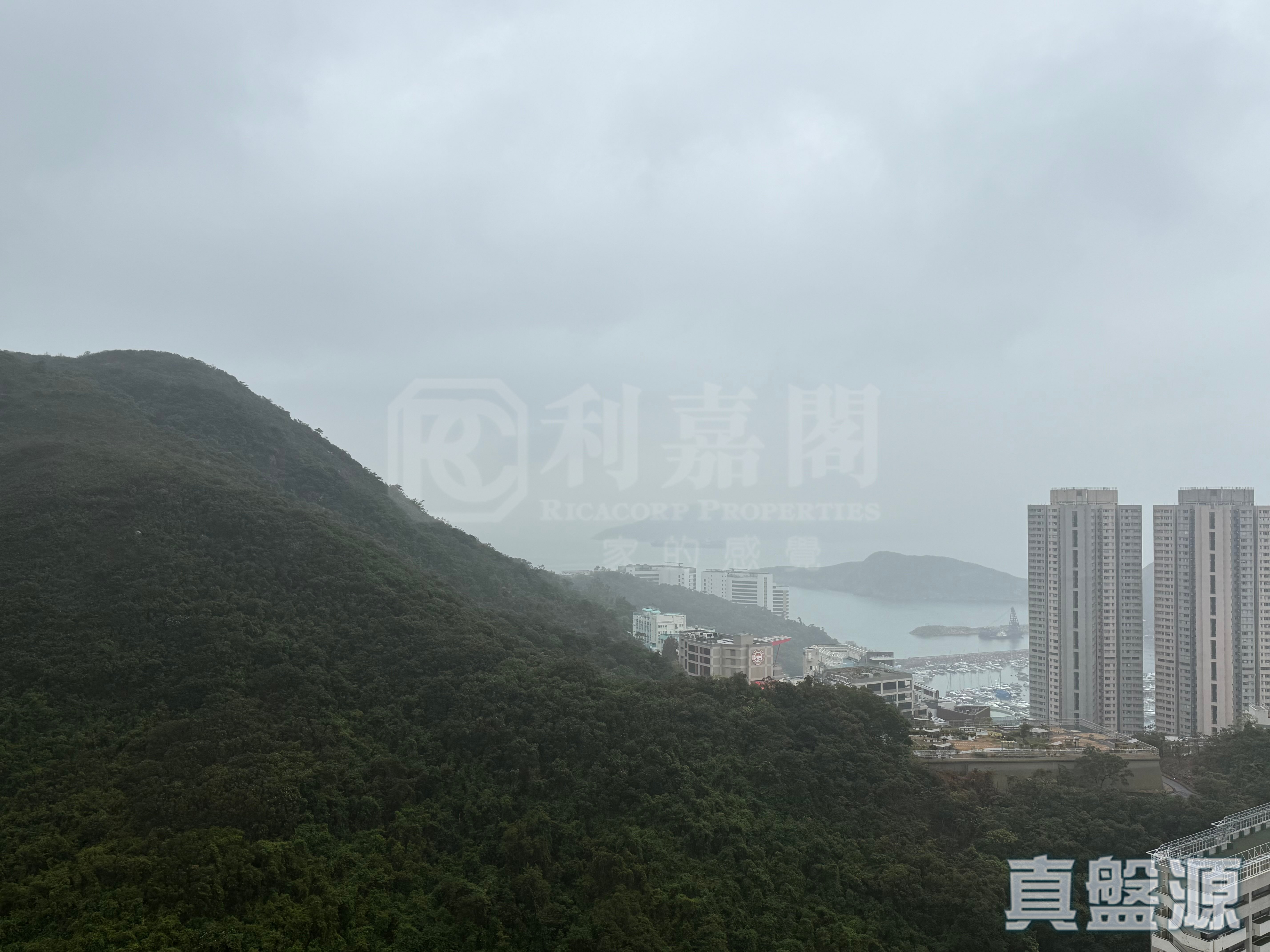 港島南岸 4A期 海盈山 2座 (2B) 極高層 B室 黃竹坑/深灣