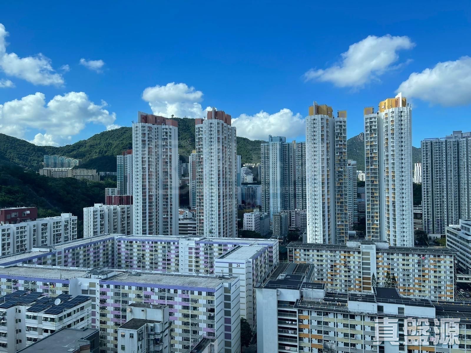 AVA 61 高层 F室 西九龙