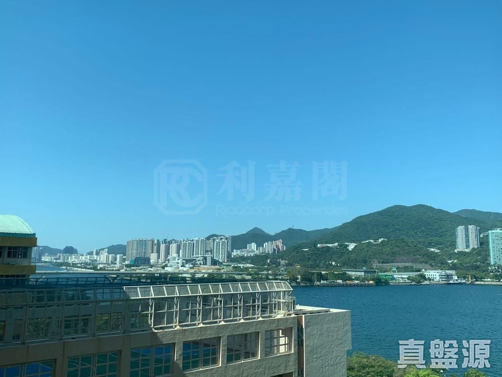 晓峰湾畔 4座 低层 D室 马鞍山